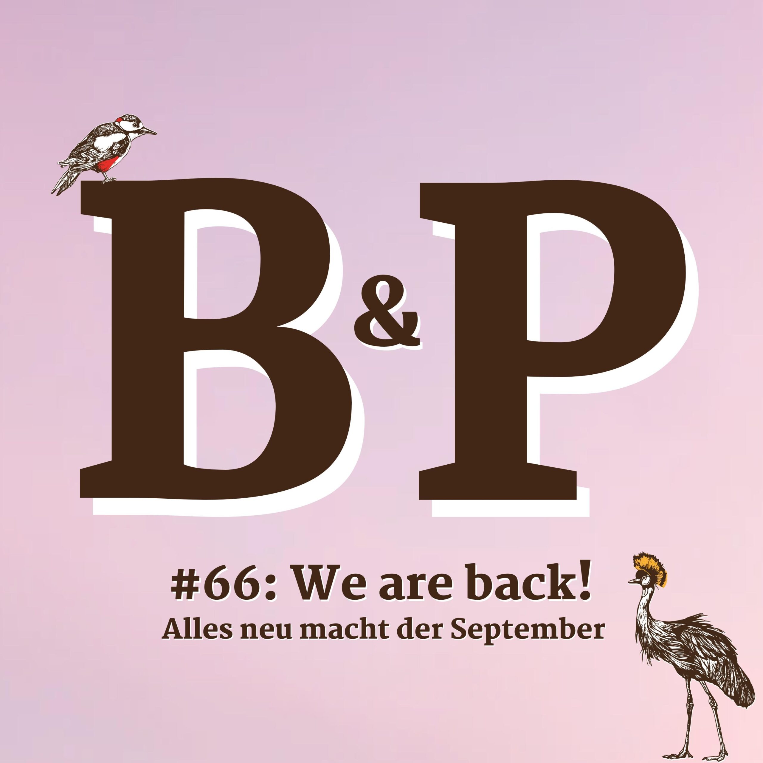 #66: We are back!