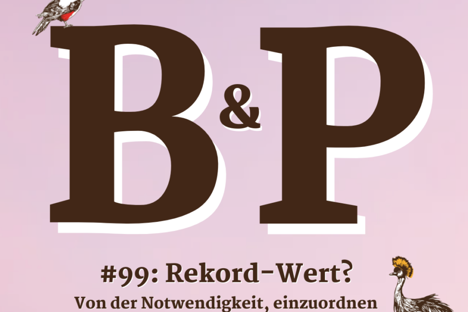 #99: Rekord-Wert? Von der Notwendigkeit, einzuordnen 1 99 Rekord Wert